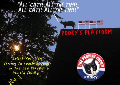pookys-platform